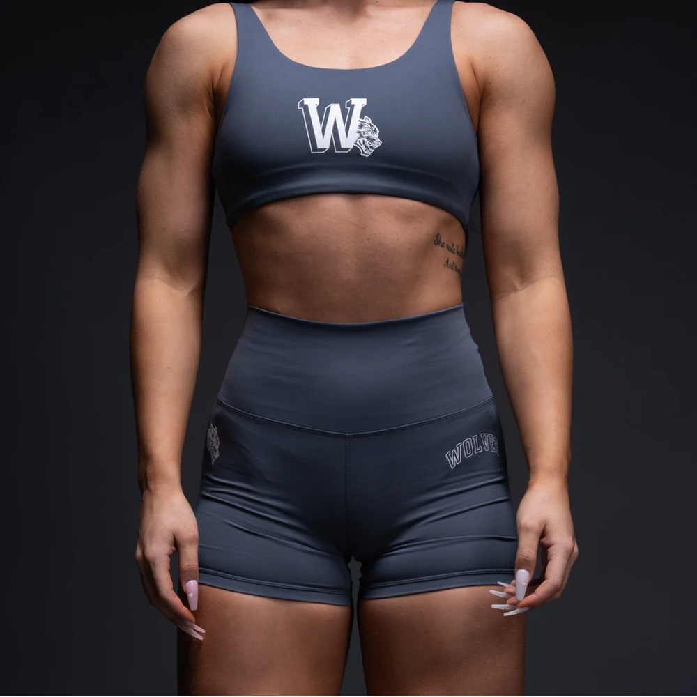 Darc Sport Gray Blue Sports Bra